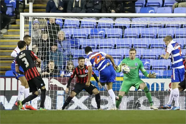 David Stockdale in Action: Sky Bet Championship Showdown between Reading and Brighton & Hove Albion (10th March 2015)