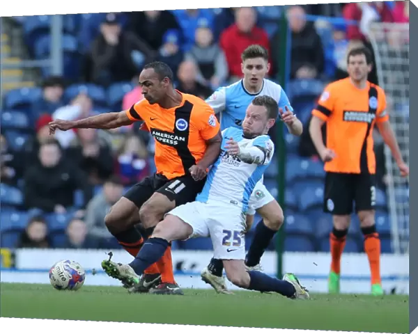 Chris O'Grady vs Jay Spearing: Intense Rivalry in the Sky Bet Championship Clash between Blackburn Rovers and Brighton & Hove Albion (21MAR15)