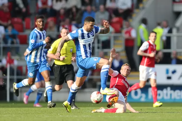 Leon Best Scored for Brighton Against Rotherham United in Championship Match, April 2015