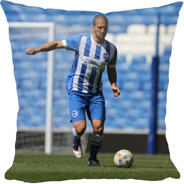 Brighton & Hove Albion: Play on the Pitch - A 2015 Match at American Express Community Stadium