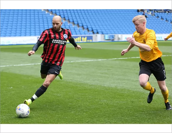 Brighton & Hove Albion: Playing on Pitch (April 29, 2015 - PM)