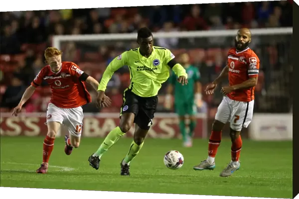 Brighton and Hove Albion vs. Walsall: Capital One Cup Clash at Bescot Stadium (25AUG15)