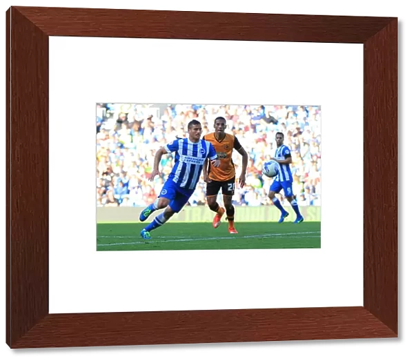 Tomer Hemed Chases After the Ball in Intense Brighton and Hove Albion vs Hull City Championship Match, September 2015