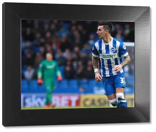 Brighton & Hove Albion vs. Huddersfield Town: Liam Ridgewell in Action - Sky Bet Championship Clash, January 2016