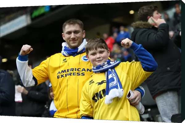 Brighton and Hove Albion's Championship Victory over MK Dons on March 19, 2016