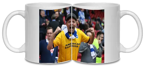 Brighton and Hove Albion FC: Unforgettable Championship Victory Celebrations at Middlesbrough's Riverside Stadium (07 / 05 / 2016)