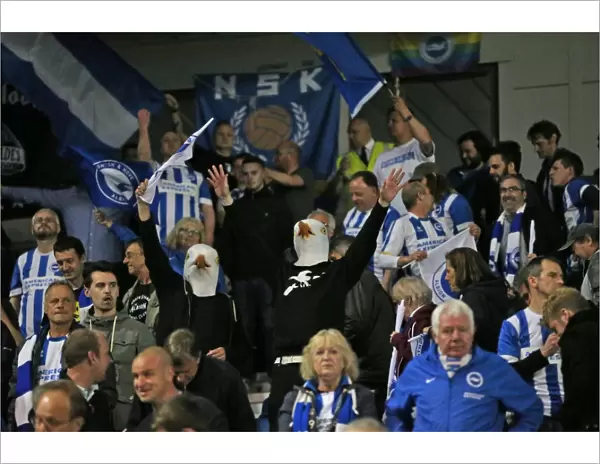 Brighton and Hove Albion vs Sheffield Wednesday: Sky Bet Championship Play-Off Clash at American Express Community Stadium (16 May 2016)