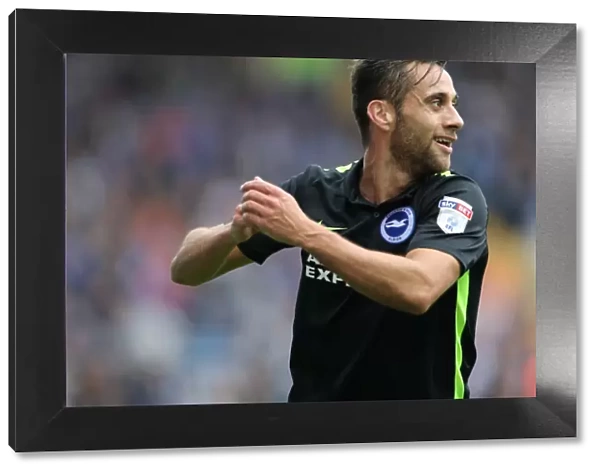 Brighton and Hove Albion vs Sheffield Wednesday: A Battle in the Sky Bet Championship (1st October 2016)