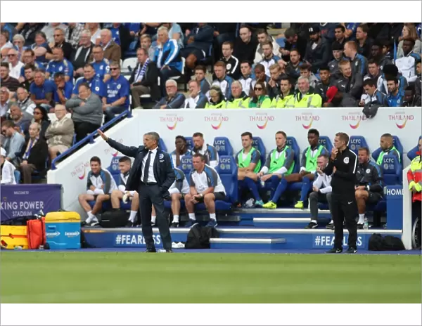 Premier League Showdown: Leicester City vs. Brighton & Hove Albion (19Aug17)