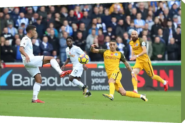 Brighton and Hove Albion vs Swansea City: Premier League Showdown at Liberty Stadium (Nov 2017)