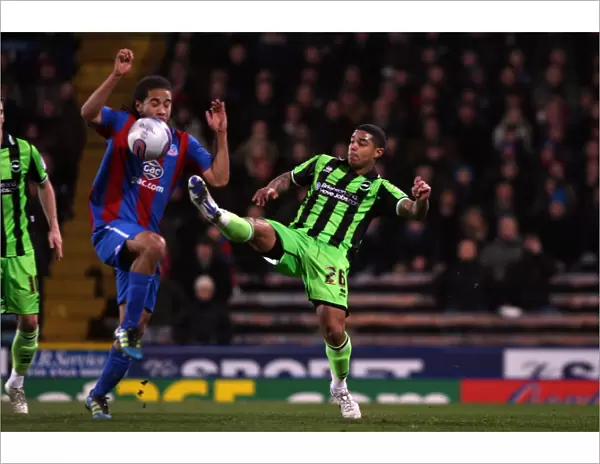 Brighton & Hove Albion vs. Crystal Palace (Away Game - 31-01-12)