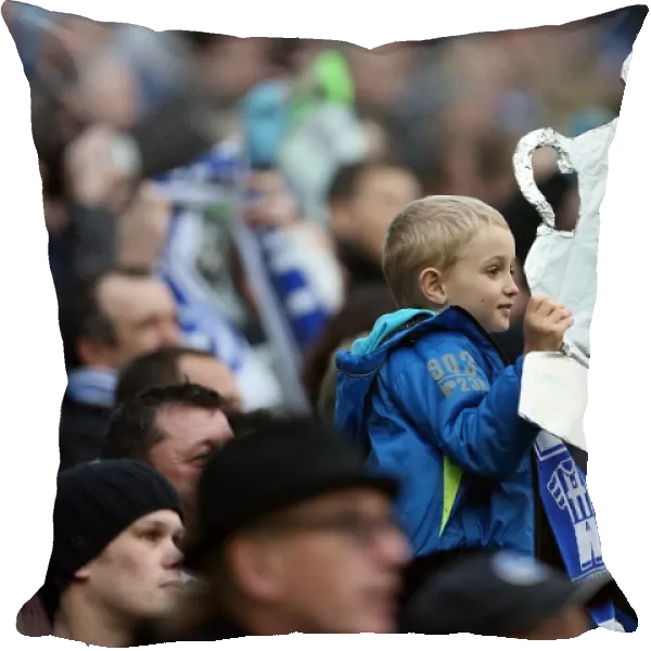 Young Brighton Fan with Tin Foil FA Cup at Amex Stadium during Brighton & Hove Albion vs. Newcastle United, FA Cup 3rd Round (2013)