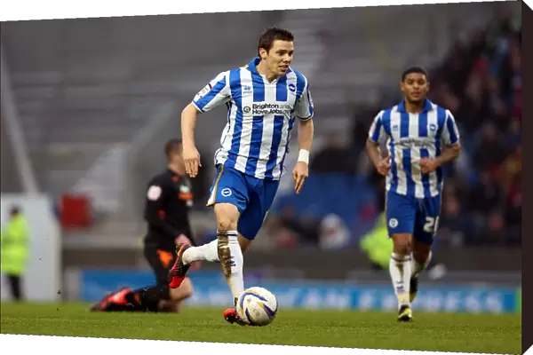 Dean Hammond: In Action for Brighton & Hove Albion Against Derby County, Npower Championship (January 12, 2013)