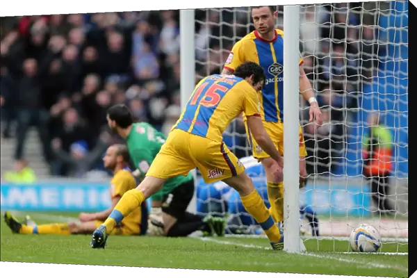 Brighton & Hove Albion vs. Crystal Palace: A Home Battle (2012-13 Season)