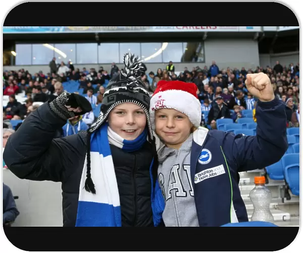 Brighton & Hove Albion vs. Leicester City: Home Game (December 7, 2013)
