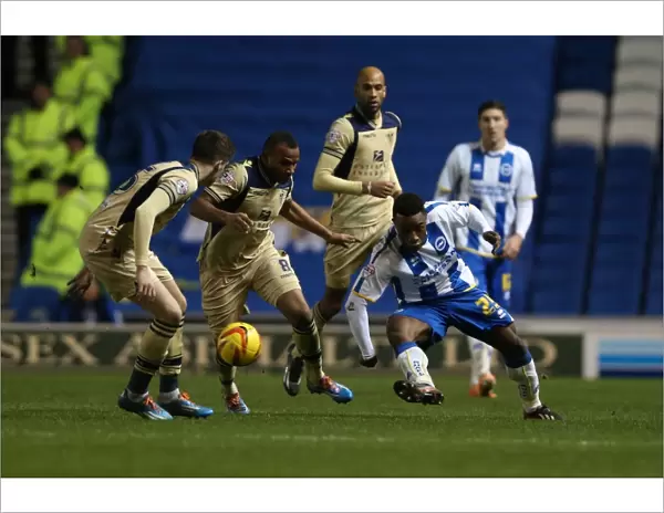 Brighton & Hove Albion vs. Leeds United: 11-02-2014 - A Historic 2013-14 Home Game