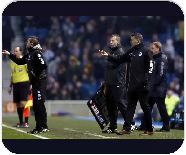 Brighton & Hove Albion vs QPR: A Historic 11-3 Victory in the 2013-14 Season