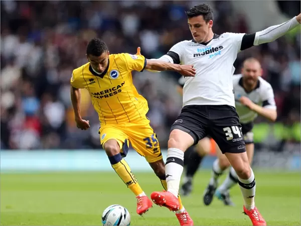 Brighton & Hove Albion vs. Derby County: 2013-14 Season Away Game (11 May 2014)