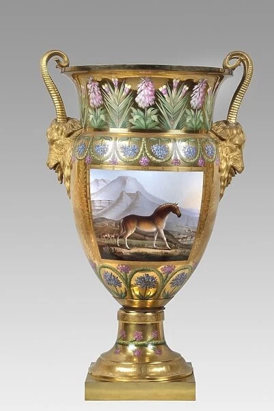Vase depicting a Quagga, Apsley House N070666