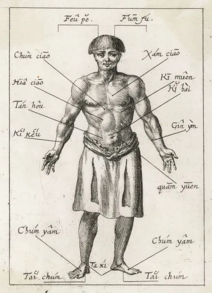 Acupuncture in 17th Cent