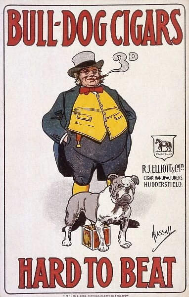 Advert  /  Bulldog Cigars