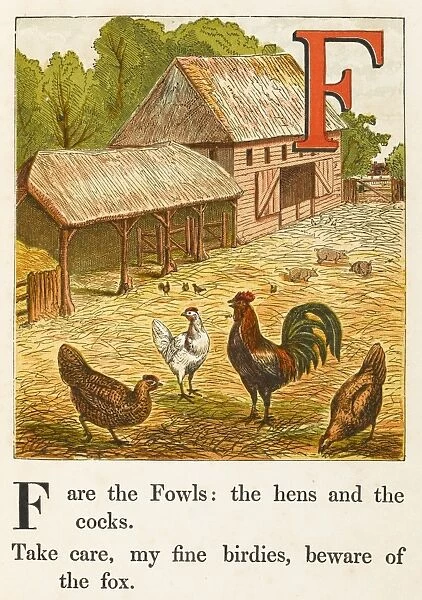 Alphabet  /  F for Fowl