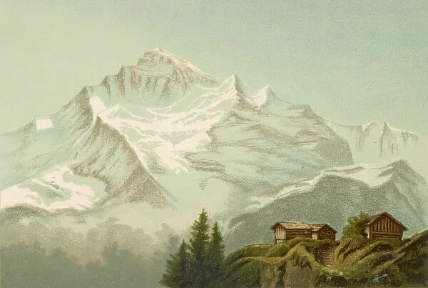 Alps  /  Jungfrau 1885