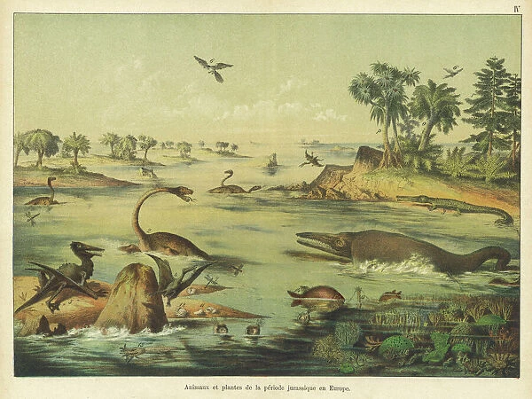 Animals and plants of the Jurassic era