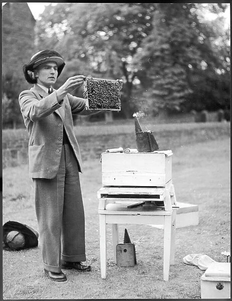The Apiarist - a bee keeper demonstrating the examination of frames of brood