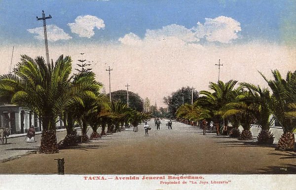 Avenida Jeneral Baquedano, Tacna, Peru, South America