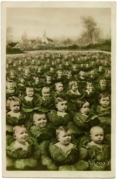 cabbage patch farm babies