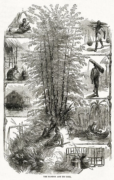 Bamboo and its uses in China 1867