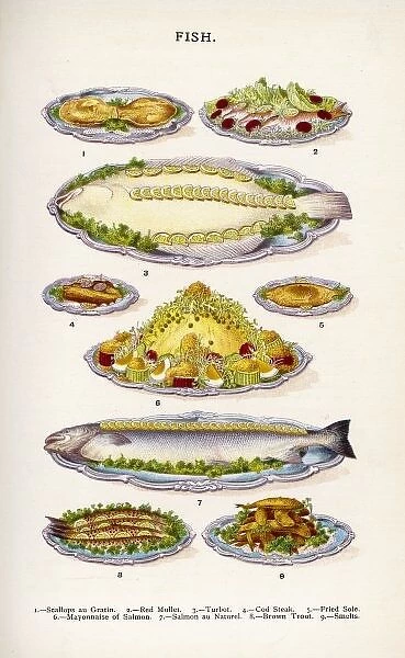 Beeton Fish