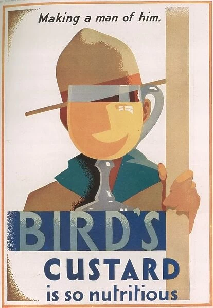 Birds Custard Advertisement