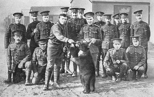 Canadians in camp at Salisbury Plain with bear mascot