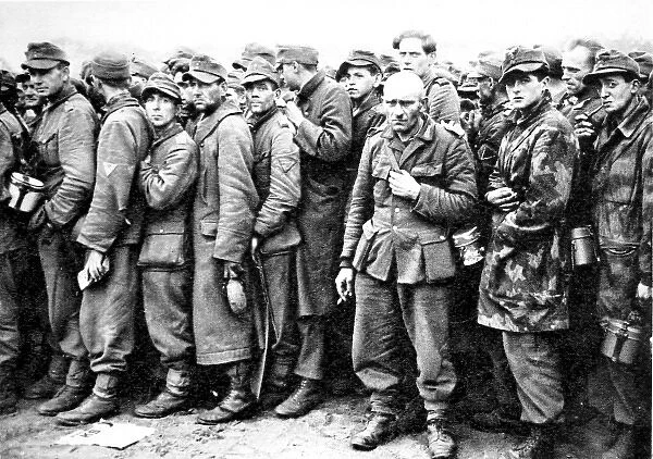 Captured German Soldiers, Holland; Second World War, 1944