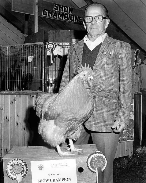 Champion hen at the Royal Cornwall Show