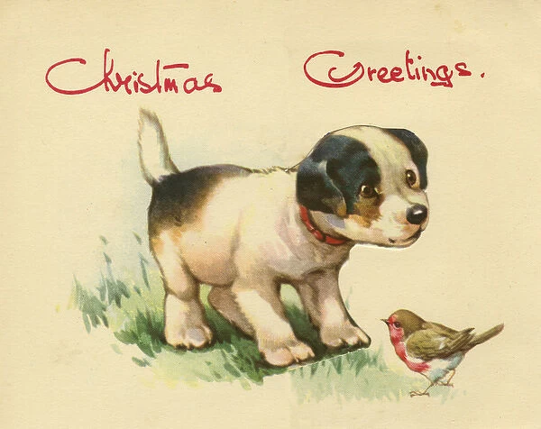Christmas card, dog and robin