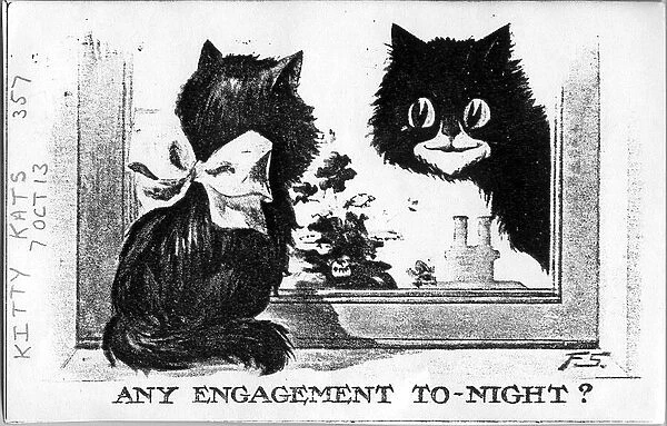 Comic postcard, Two cats at a window - Any engagement tonight? Date: 1913
