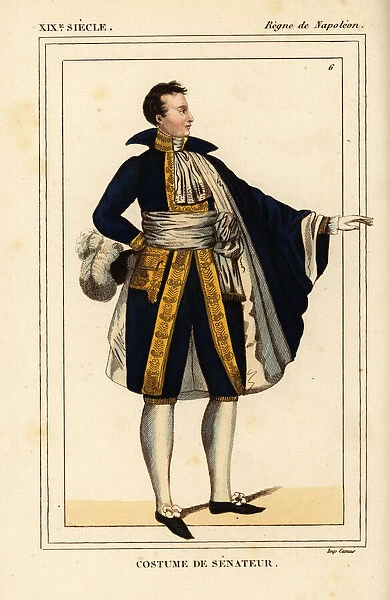 Costume of a French Senator, Napoleonic era