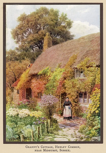 Cottage Near Midhurst