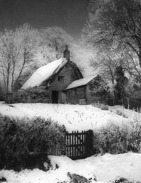 Cottage in the Snow