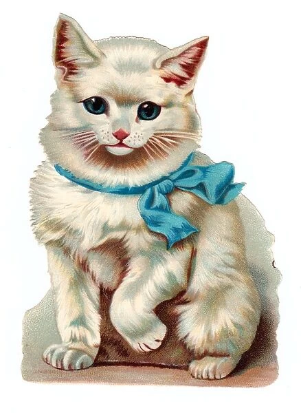 Cute white cat on a Victorian scrap (Print #14358597) Poster. Cards