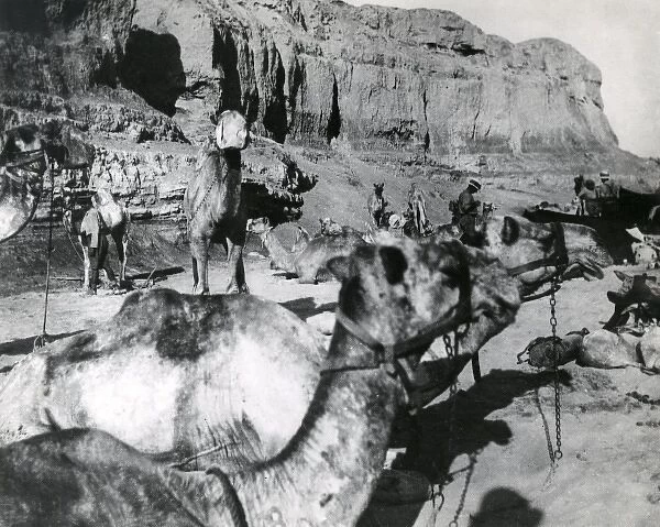 Desert column at El Magdhaba, Egypt, WW1