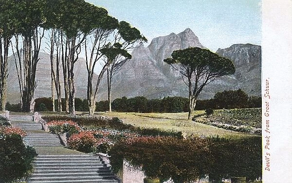 Devils Peak from the Gardens of Groot Schuur, Cape Town