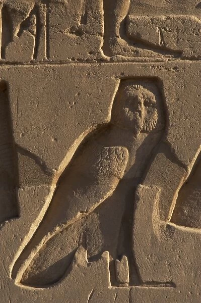 Egyptian Art. Relief depicting an owl. Karnak
