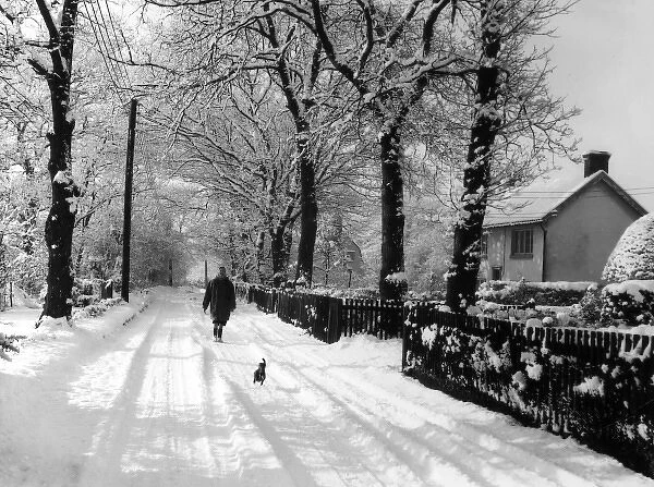 Essex Snow Scene