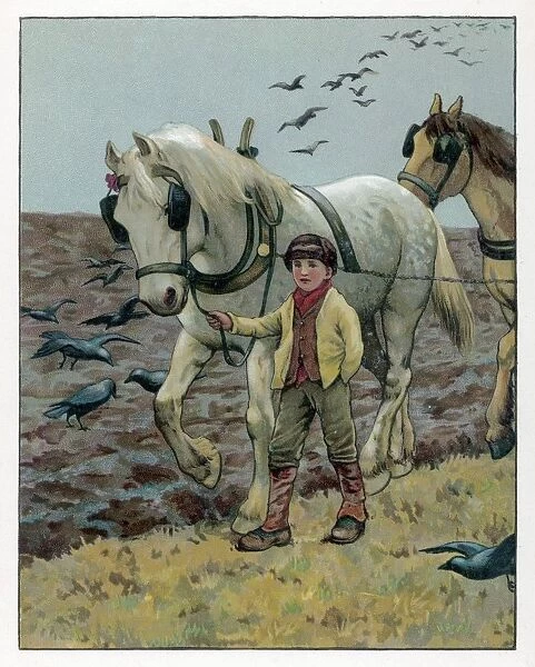Farm Boy & Plough Horse