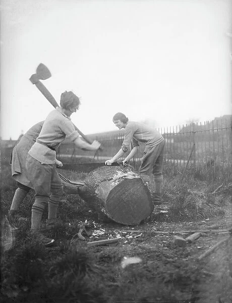 Female Lumberjacks. Two young women, female lumberjacks