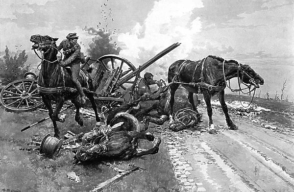 Gallipoli - bringing in horses by Matania, WW1